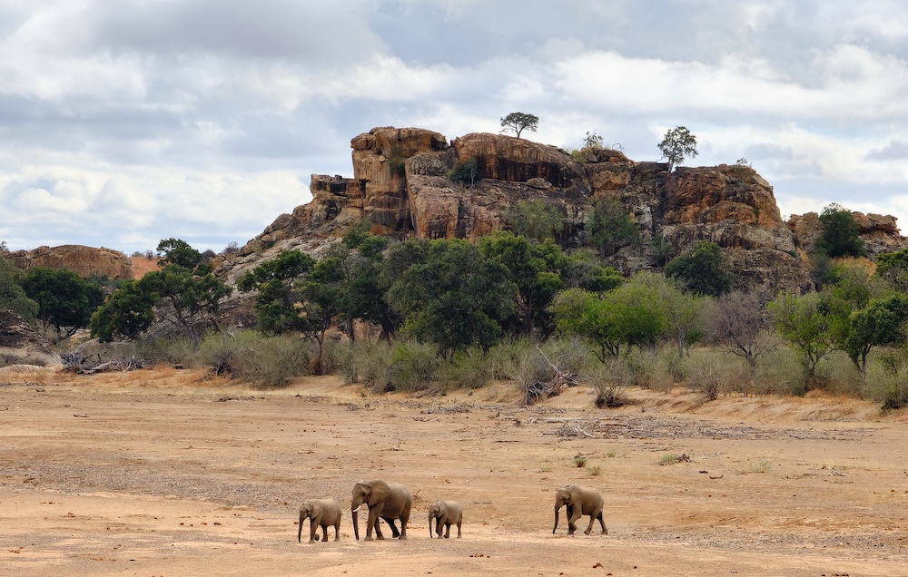 Botswana photo safari_9